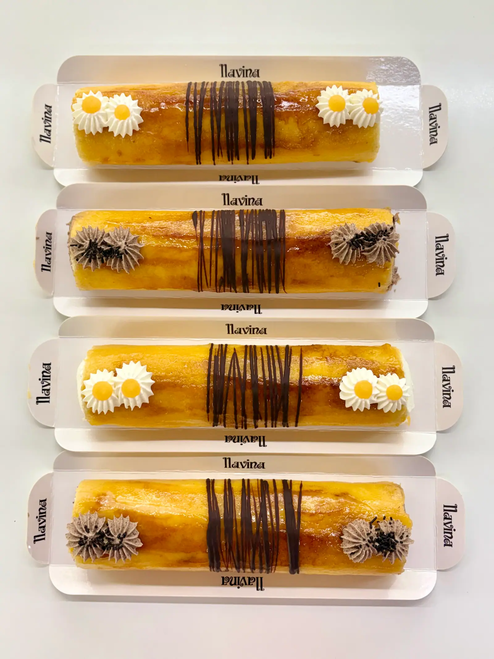 Braços i troncs